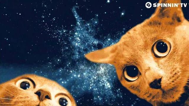 Ummet Ozcan - Spacecats