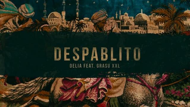 Delia ft. Grasu XXL - Despablito