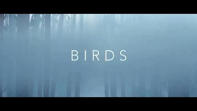 Imagine Dragons - Birds