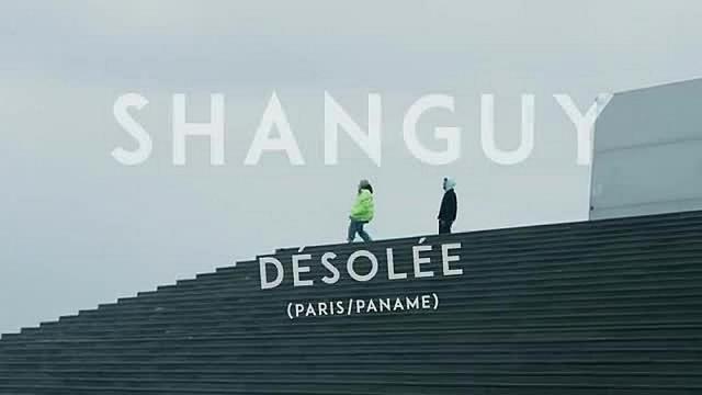 SHANGUY - Desolee