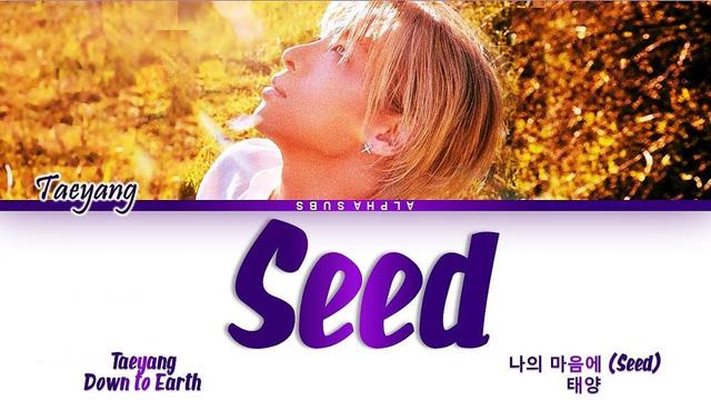 TAEYANG - Seed