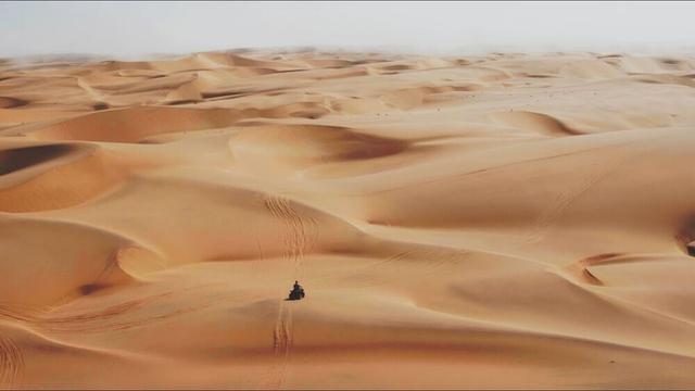 Martin Garrix - Lions in the Wild