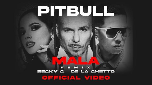 Pitbull - Mala